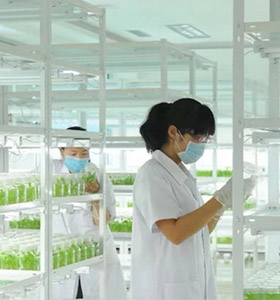 好色视频下载仪器