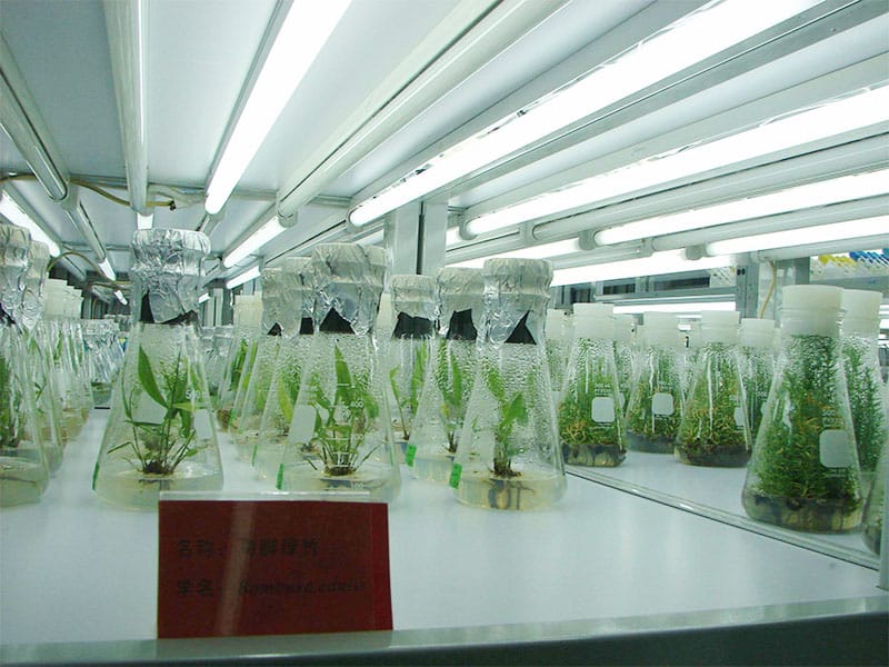 好色视频下载设备