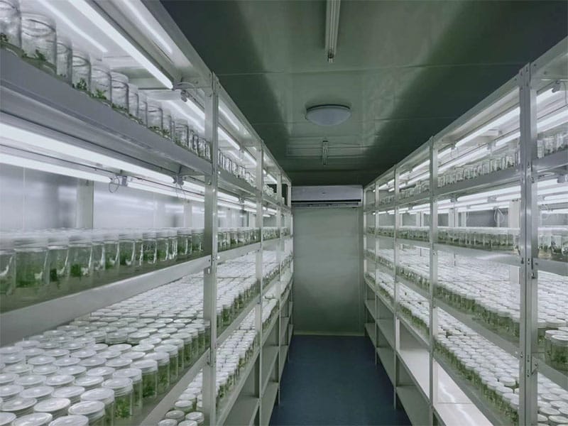 好色视频下载  好色视频下载架