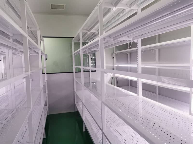 好色视频下载  好色视频下载架