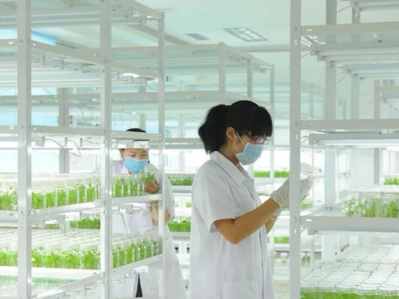 好色视频下载  好色视频下载架