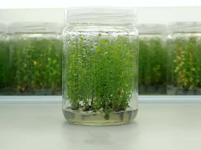 好色视频下载  好色视频下载瓶