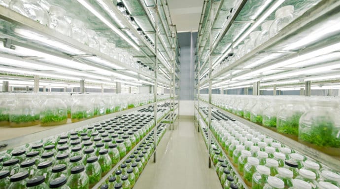 好色视频下载  好色视频下载架