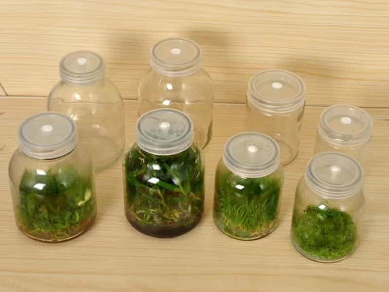 好色视频下载  好色视频下载瓶