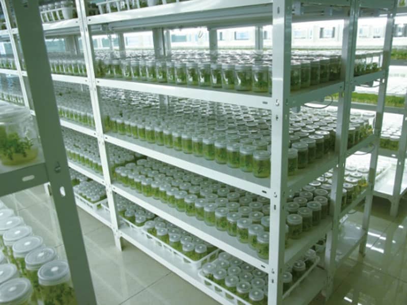 好色视频下载  好色视频下载设备