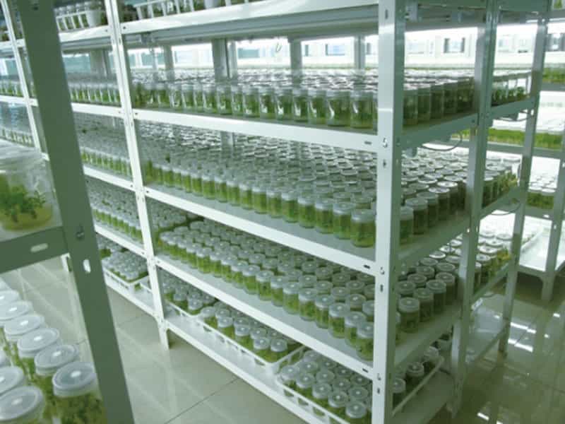 好色视频下载  好色视频下载设备