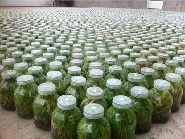 好色视频下载  好色视频下载瓶